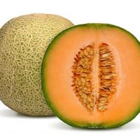 melon calama